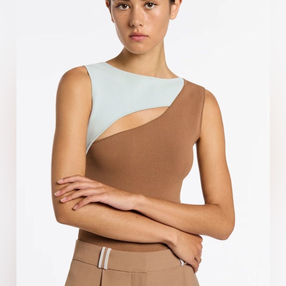 SIR the label Cut Out Tank in Cinnamon. NWT . Sold out online